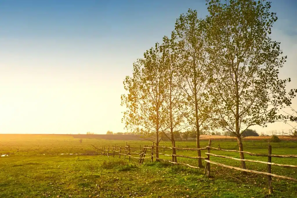 Farmland