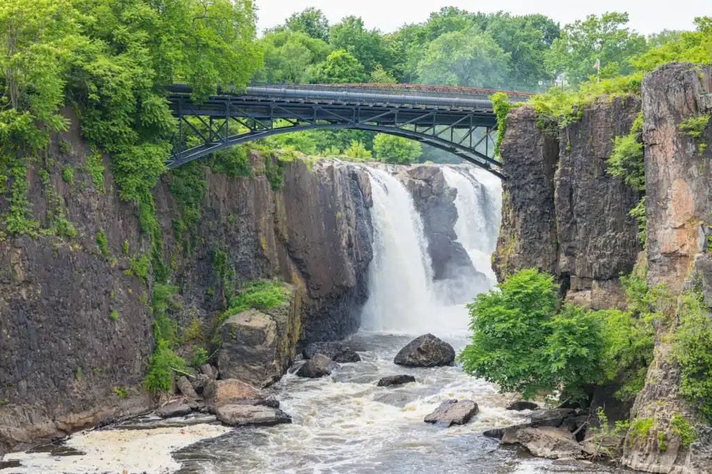 Gorgeous view of lush green trees surrounding a bridge at the Paterson Great Falls National Park