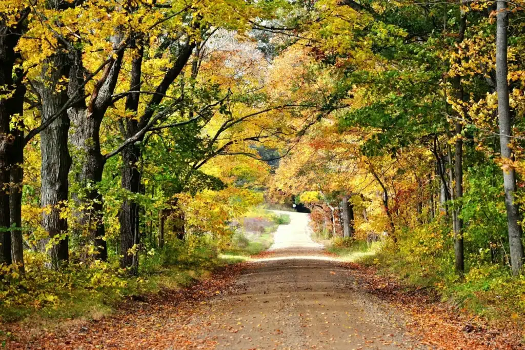 Open road in the country of a dirt road in the Fall