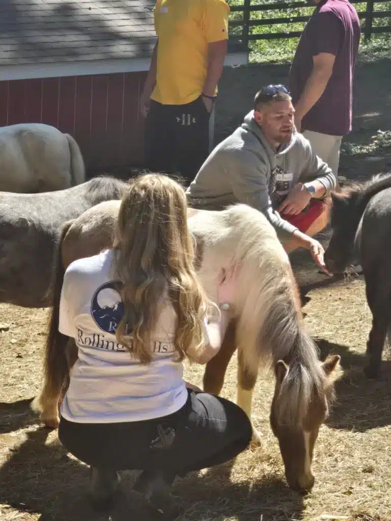 brinna equine program